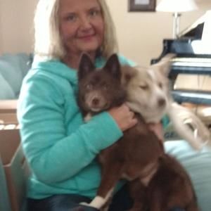 Meet your Posher, Karen